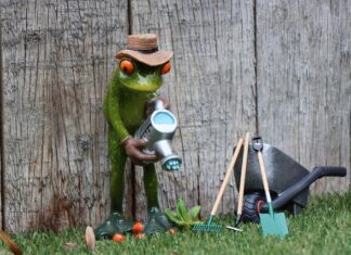 Co jest lepsze abonament czy karta?