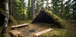 Czym różni się prepping od survivalu